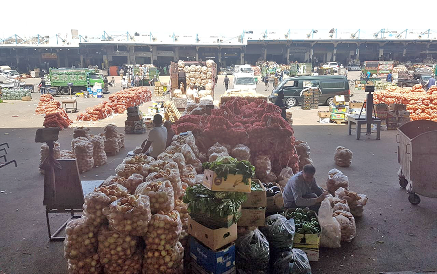 In spite of the problems that face the agriculture sector under the current exceptional circumstances, overall production remains sufficient for the Kingdom’s needs and exports, Agriculture Minister Saleh Kharabsheh said on Tuesday  (Photo by Amjad Ghsoun)